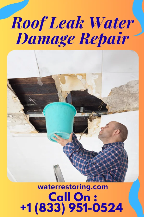 Roof Leak Water Damage Repair in Sandy Point, TX
